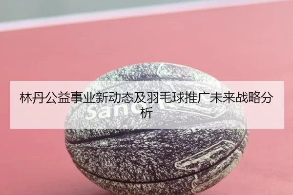 林丹公益事业新动态及羽毛球推广未来战略分析